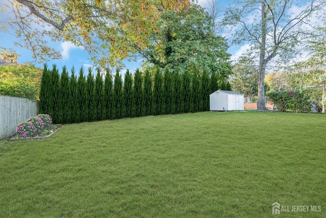 view of yard with a shed