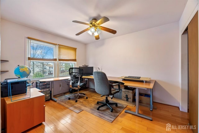 office space featuring light wood finished floors and ceiling fan