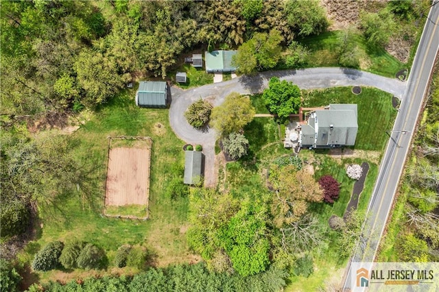 bird's eye view