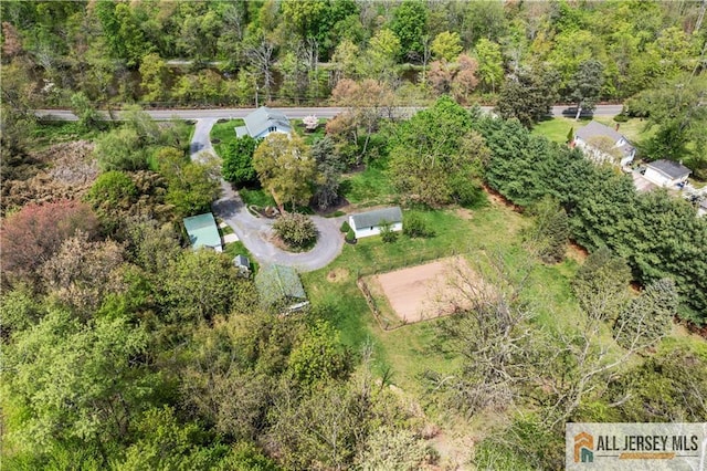 drone / aerial view of a forest