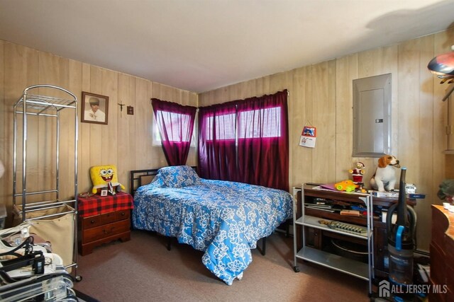 30 Kenmore Rd, Edison, NJ 08817 - bedroom with electric panel, wood walls, and carpet floors