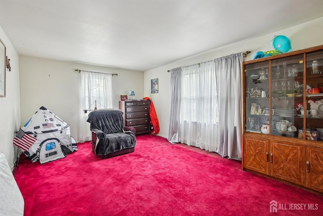 30 Kenmore Rd, Edison, NJ 08817 - living area with carpet flooring