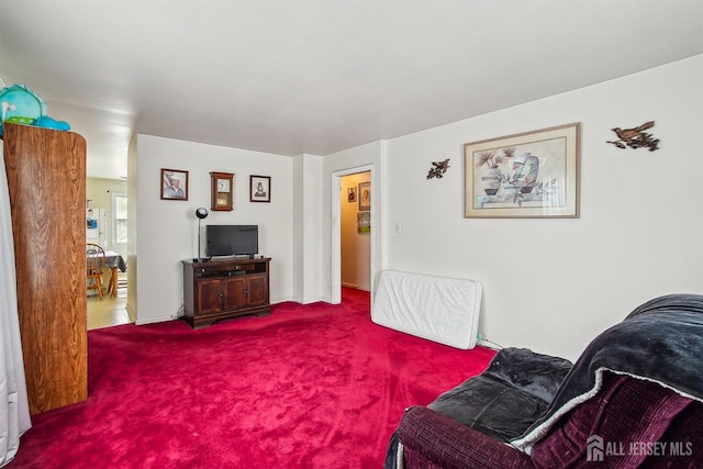 living room with carpet