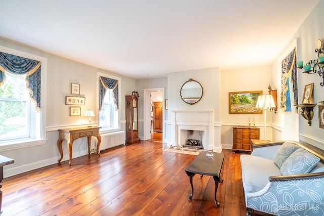 7 Finch Ct, West Windsor, NJ 08550 - living room featuring radiator heating unit, plenty of natural light, wood-type flooring, and a fireplace
