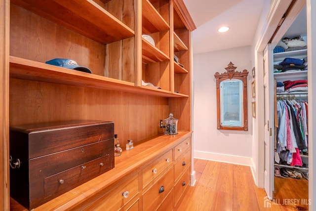 7 Finch Ct, West Windsor, NJ 08550 - spacious closet with light wood finished floors
