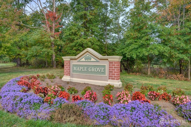 231 Vasser Dr, Piscataway, NJ 08854 - photo 41