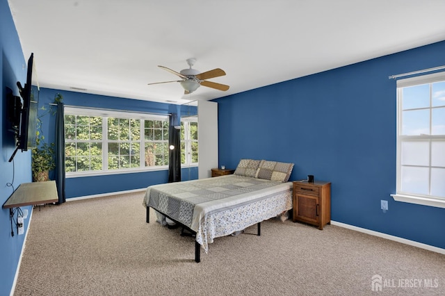 231 Vasser Dr, Piscataway, NJ 08854 - photo 16