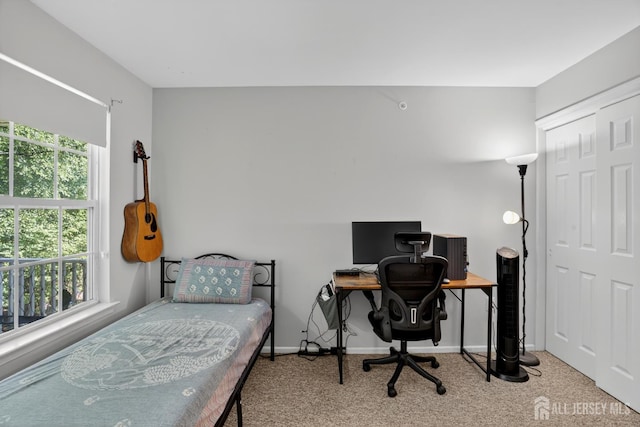 231 Vasser Dr, Piscataway, NJ 08854 - photo 22