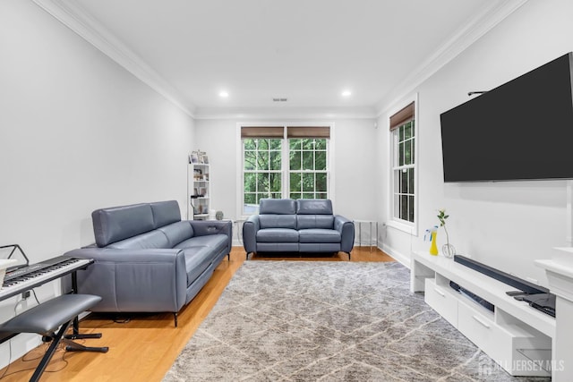 22 Daffodil Way, Old Bridge, NJ 08857 - living area with ornamental molding, light wood finished floors, and recessed lighting