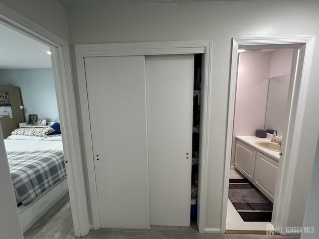 interior space featuring a sink, light carpet, and a closet