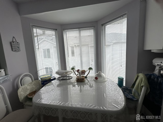 dining area with a wealth of natural light