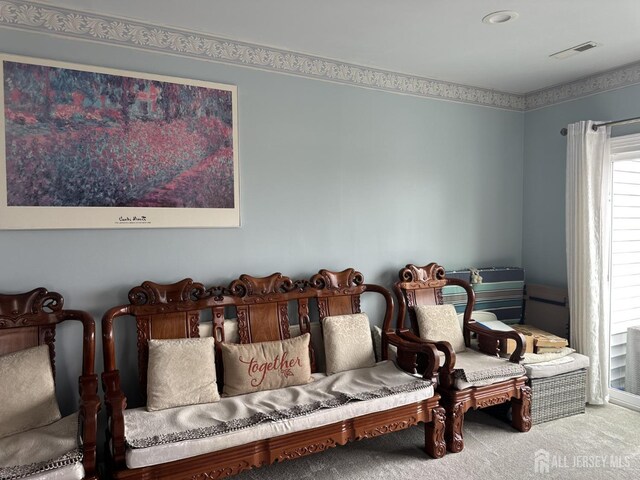 401 Jesse Way, Piscataway, NJ 08854 - sitting room with carpet flooring