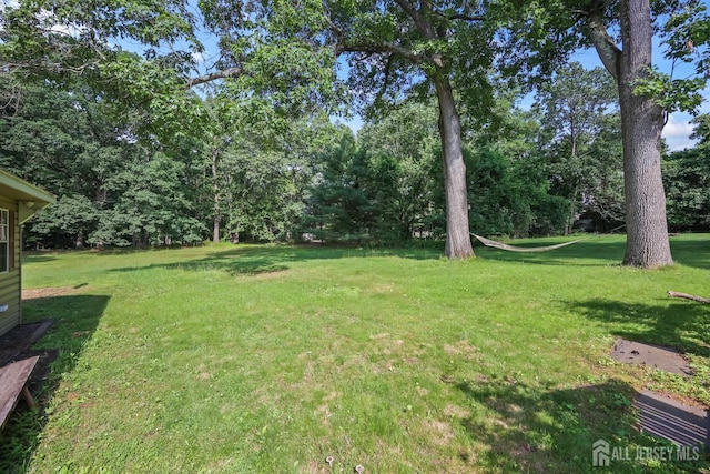 8 Walnut St, Monroe, NJ 08831 - photo 24