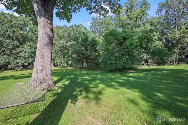 8 Walnut St, Monroe, NJ 08831 - photo 22