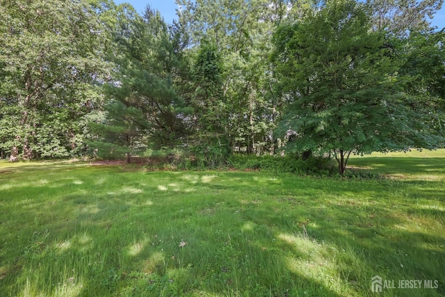 8 Walnut St, Monroe, NJ 08831 - photo 25