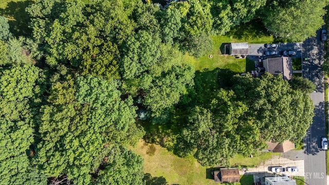 8 Walnut St, Monroe, NJ 08831 - photo 33