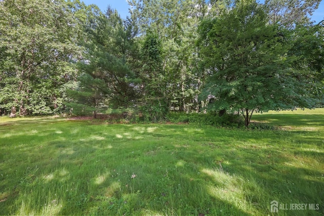 8 Walnut St, Monroe, NJ 08831 - photo 23