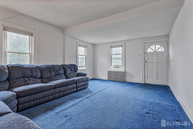 58 Fern St, Edison, NJ 08817 - carpeted living area with radiator heating unit and baseboards