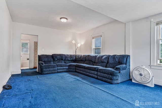 58 Fern St, Edison, NJ 08817 - living room with carpet floors and healthy amount of natural light
