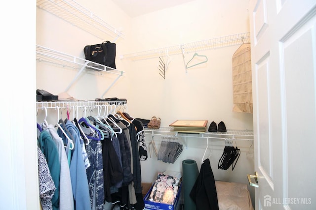 124 Chichester Rd, Monroe, NJ 08831 - view of spacious closet
