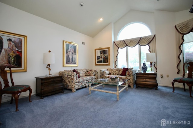 124 Chichester Rd, Monroe, NJ 08831 - living area with carpet floors, plenty of natural light, and high vaulted ceiling