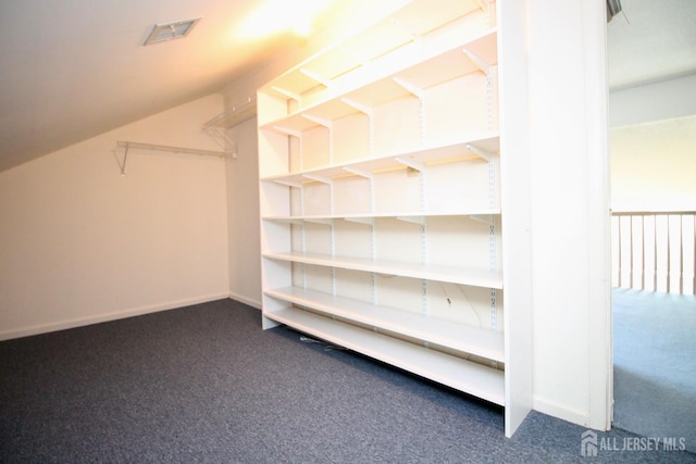 124 Chichester Rd, Monroe, NJ 08831 - view of storage area