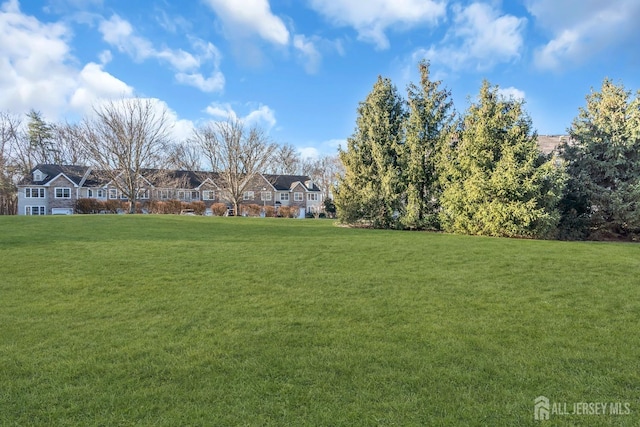 view of green lawn