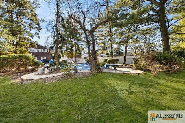 view of yard featuring a patio area