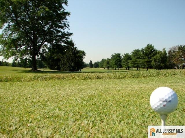 156 Pelham Ln Unit 156N, Monroe, NJ 08831 - view of grassy yard