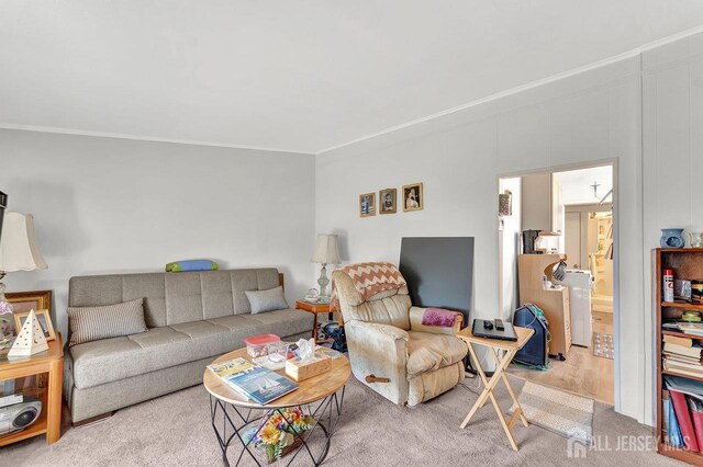 living room with ornamental molding