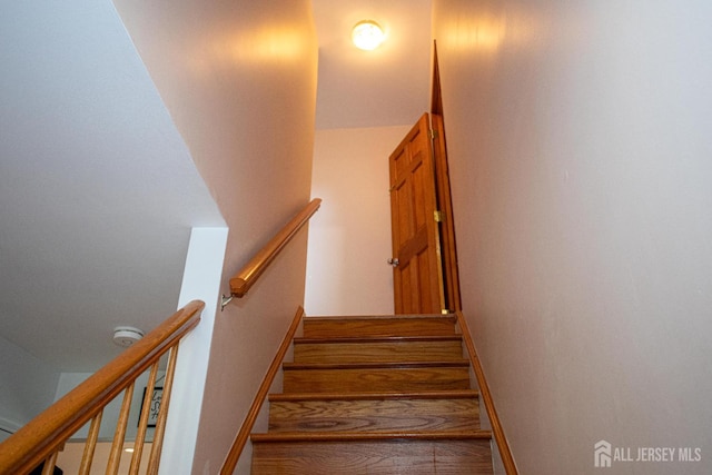368 S Pine Ave, Sayreville, NJ 08872 - photo 18