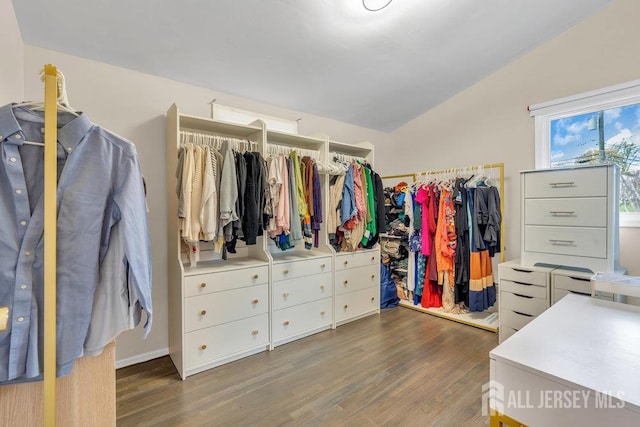 17 Thomas Rd, East Brunswick, NJ 08816 - spacious closet featuring wood finished floors and lofted ceiling