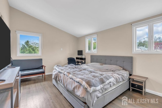 17 Thomas Rd, East Brunswick, NJ 08816 - bedroom featuring lofted ceiling and wood finished floors