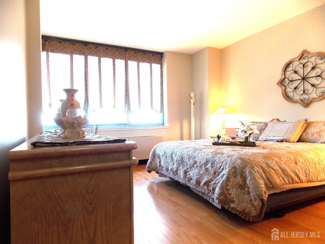 1 Spring St Unit 1205, New Brunswick, NJ 08901 - bedroom with multiple windows and wood finished floors