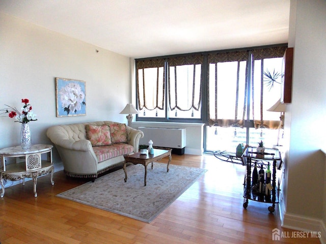 1 Spring St Unit 1205, New Brunswick, NJ 08901 - living room with wood finished floors and radiator heating unit