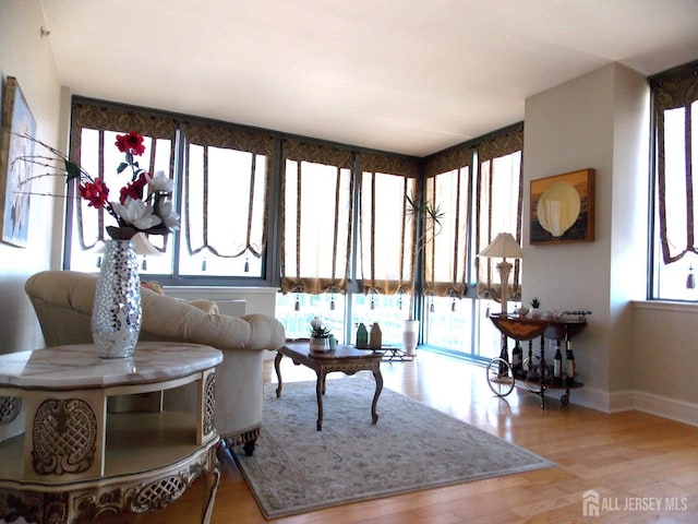 1 Spring St Unit 1205, New Brunswick, NJ 08901 - living room featuring healthy amount of natural light, wood finished floors, and baseboards