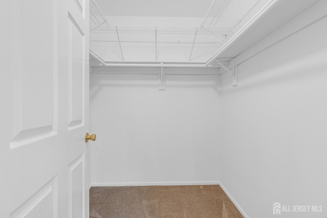 353 Ventnor Ct, Piscataway, NJ 08854 - photo 19