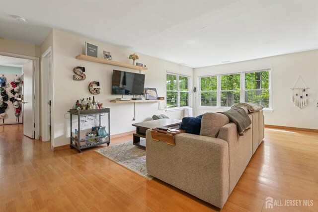 78 Pennsylvania Way N, Brunswick, NJ 08902 - living room with light wood-style floors and baseboards