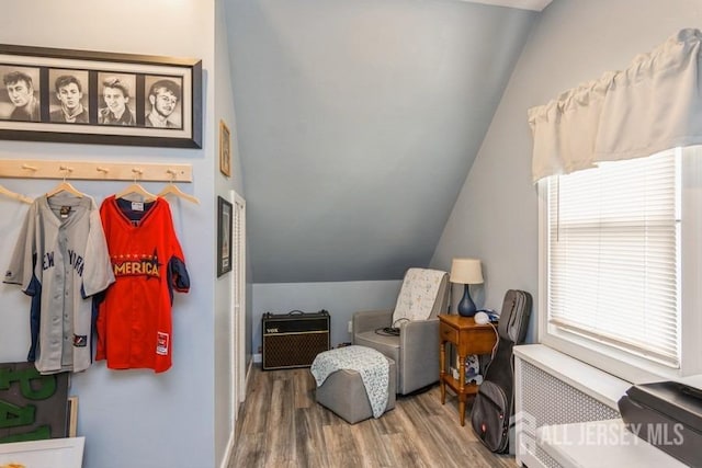 sitting room featuring a wealth of natural light, radiator, hardwood / wood-style floors, and vaulted ceiling