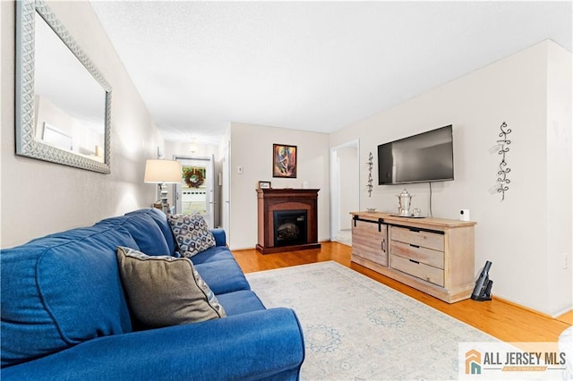 living area with wood finished floors and a fireplace