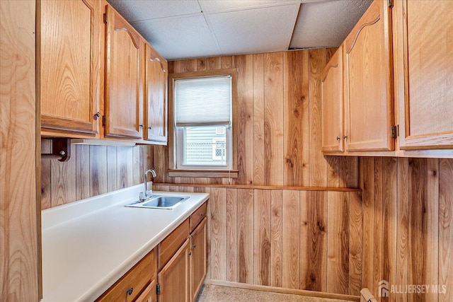 kitchen featuring sink and wood walls