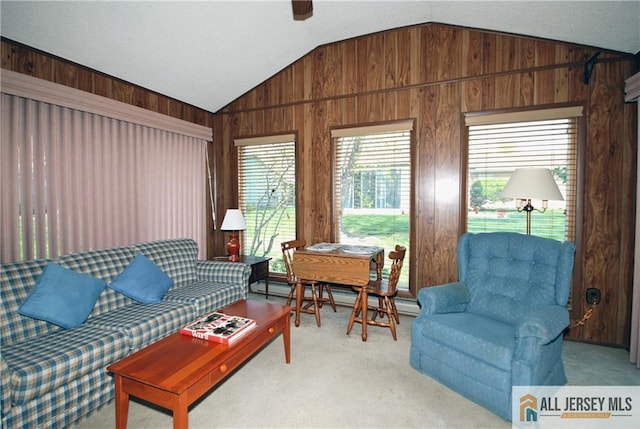 398 Fuchsia Plz Unit C, Monroe, NJ 08831 - carpeted living area featuring vaulted ceiling and wood walls