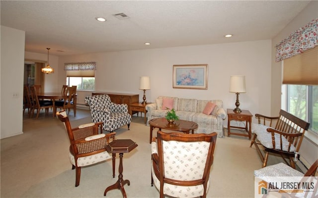 398 Fuchsia Plz Unit C, Monroe, NJ 08831 - living area featuring light carpet, recessed lighting, and plenty of natural light