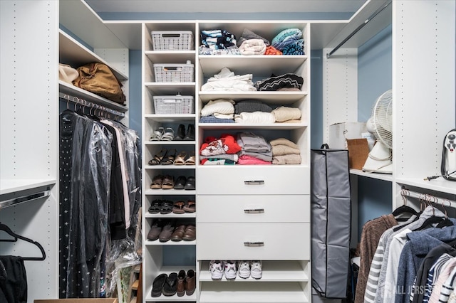 view of spacious closet