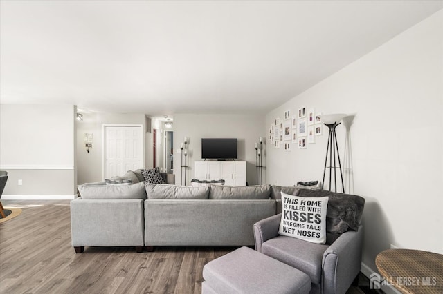 living room featuring wood-type flooring