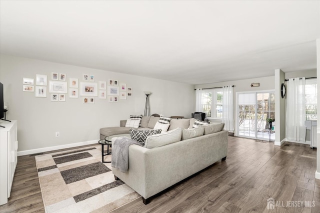 living room with wood-type flooring