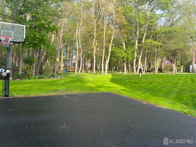 view of home's community with a lawn
