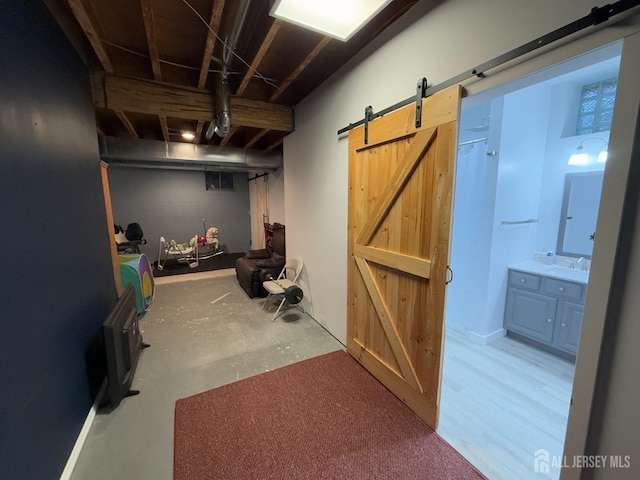 basement featuring a barn door