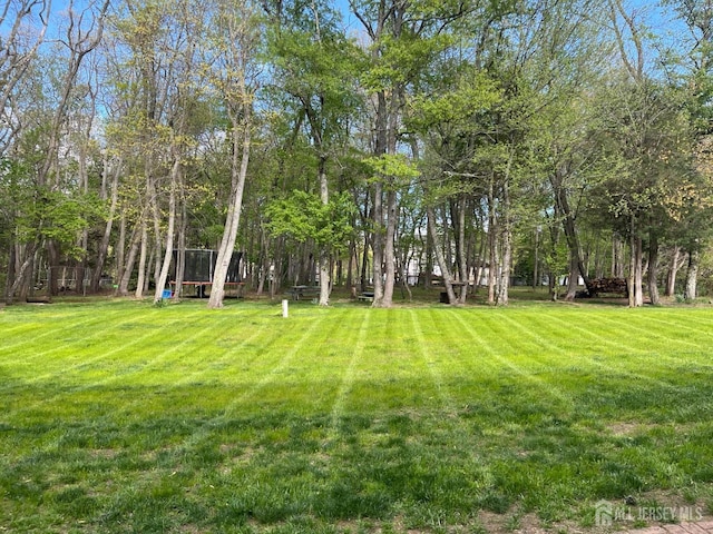 view of green lawn