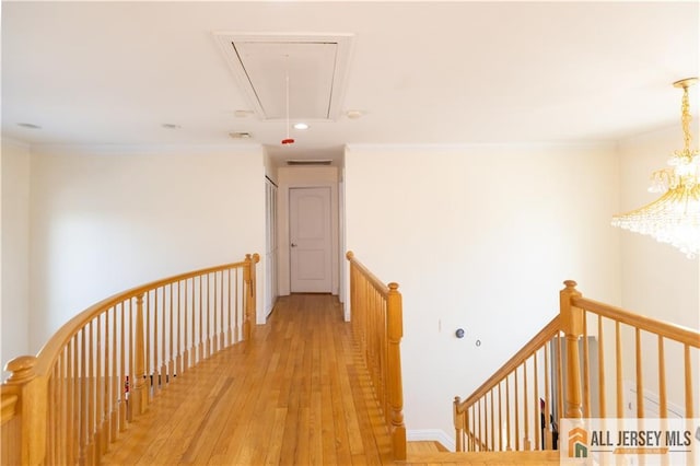 2 Universal Ave, Edison, NJ 08820 - photo 29